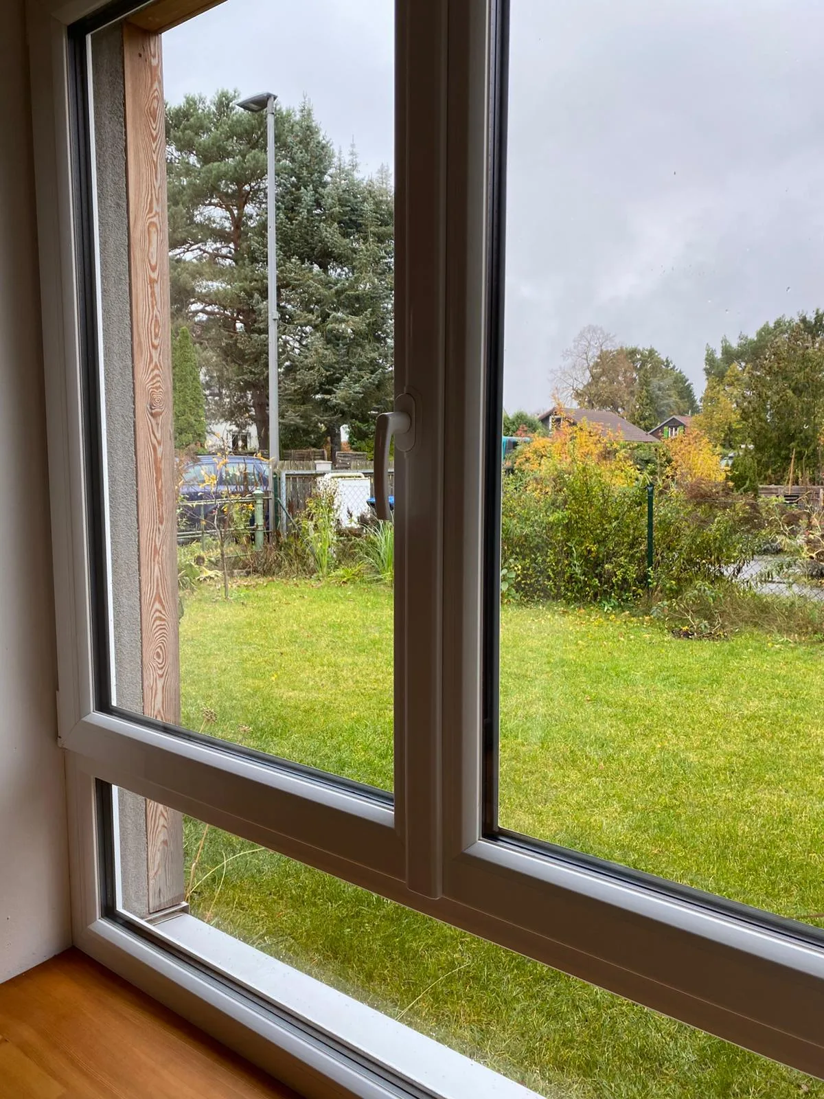 Streifenfrei gereinigtes Fenster mit klarem Blick in den Garten nach der Fensterreinigung