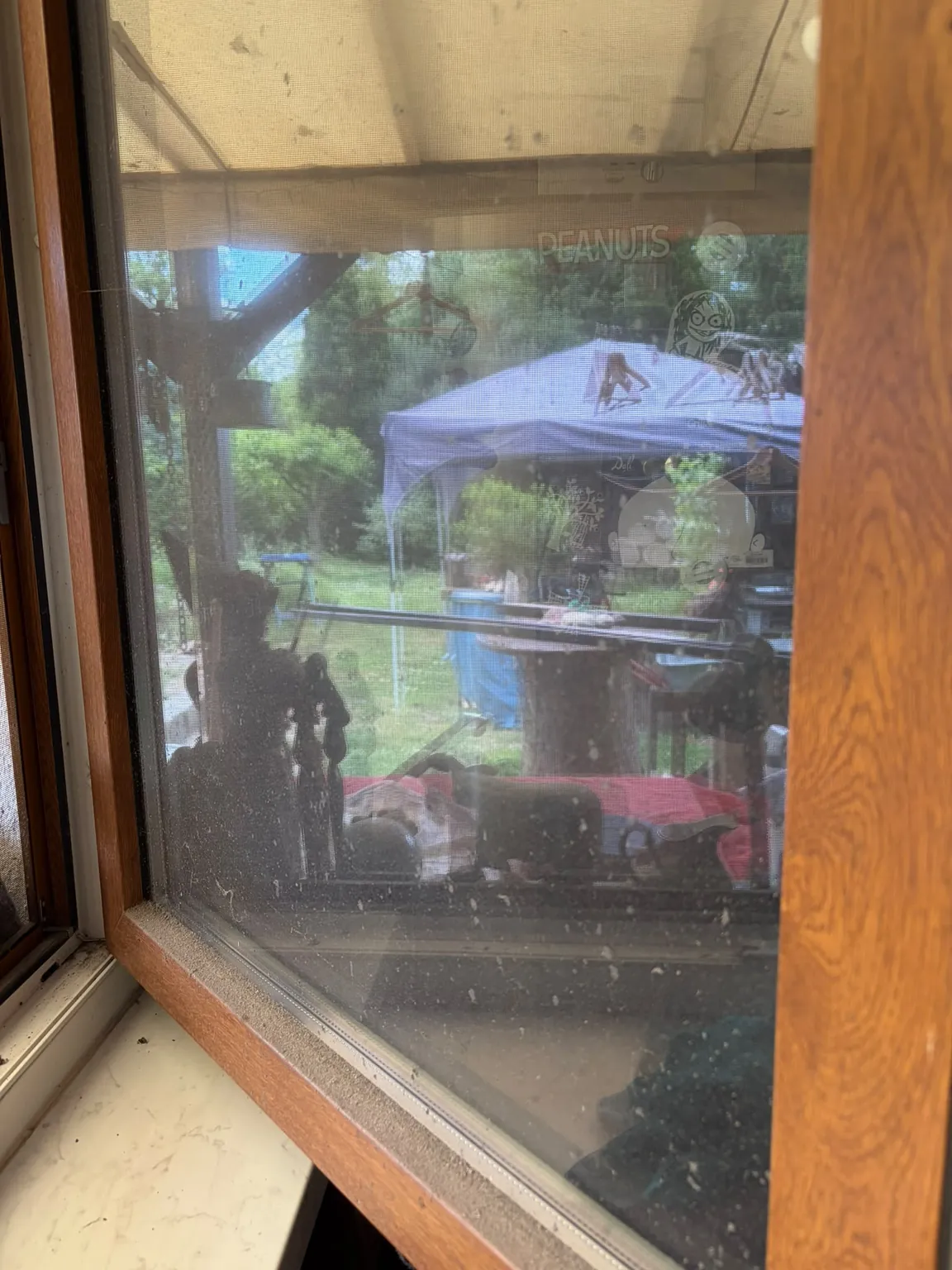 Stark verschmutztes Fenster mit Flecken auf dem Glas und verstaubtem Fliegengitter vor der Reinigung